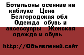 Ботильоны осенние на каблуке › Цена ­ 400 - Белгородская обл. Одежда, обувь и аксессуары » Женская одежда и обувь   